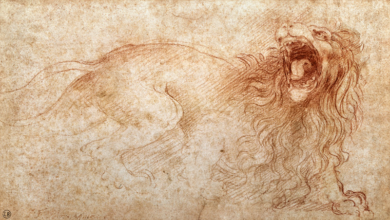Skizze eines brüllenden Löwen van Leonardo da Vinci