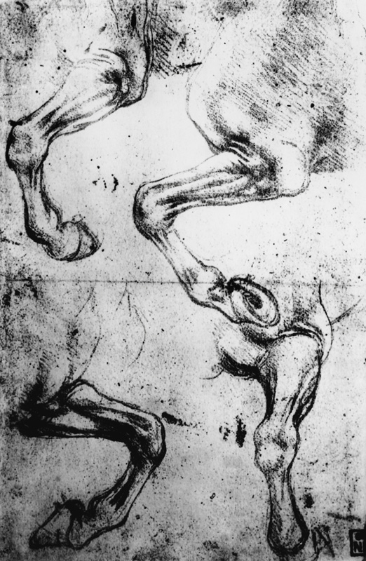 Studies of Horses legs (pen and ink on paper) van Leonardo da Vinci