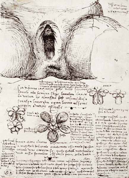 The Female Sexual Organs, facsimile copy  & van Leonardo da Vinci