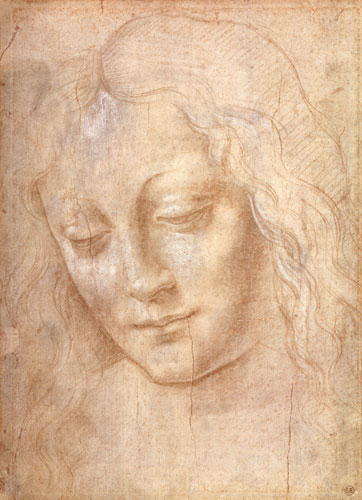Head of a woman van Leonardo da Vinci