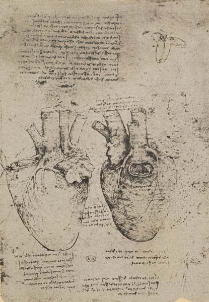 The Heart, facsimile of the Windsor book van Leonardo da Vinci
