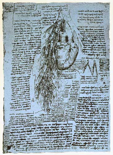 The Heart and the bronchial arteries, facsimile of the Windsor book  and van Leonardo da Vinci