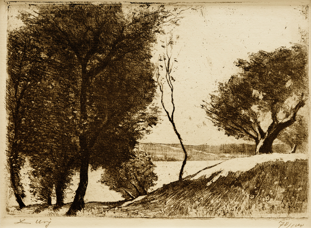 Baumbestandenes Ufer am märkischen See van Lesser Ury