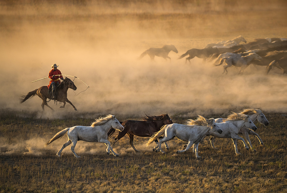 Mongolia Horses van Libby Zhang