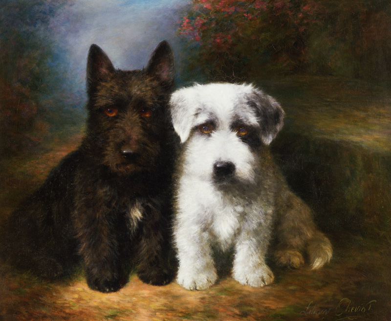 A Scottish and a Sealyham Terrier van Lilian Cheviot