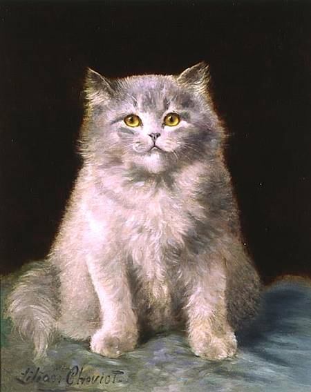 Study of a cat van Lilian Cheviot