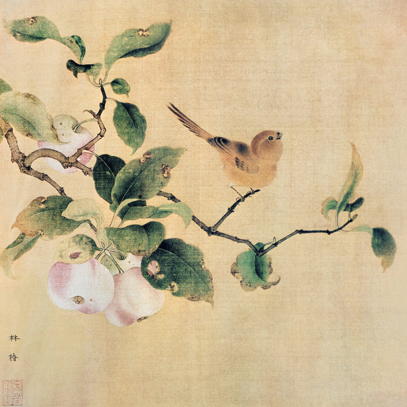 Vogel und reifende Aepfel van Lin-Tschun chinese schilder uit de Tsjoeng tijd