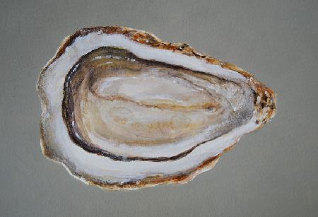 Breton Oyster 2