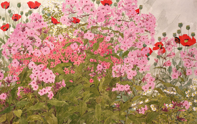 Pink Phlox and Poppies with a Butterfly (w/c on paper)  van Linda  Benton