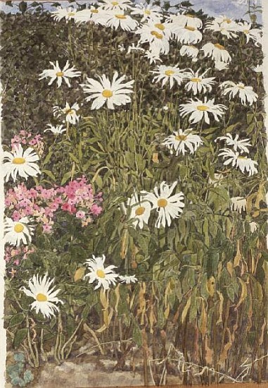 Daisies and Phlox (w/c on paper)  van Linda  Benton