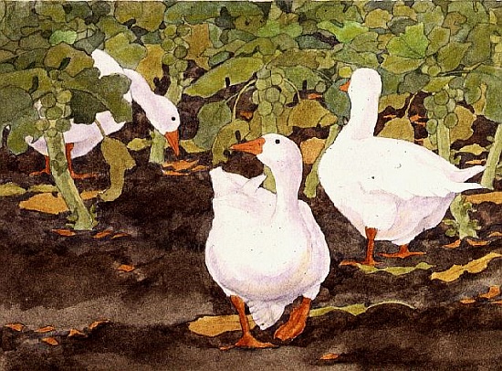 Geese in the Sprouts van Linda  Benton