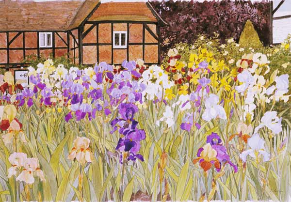 Irises van Linda  Benton