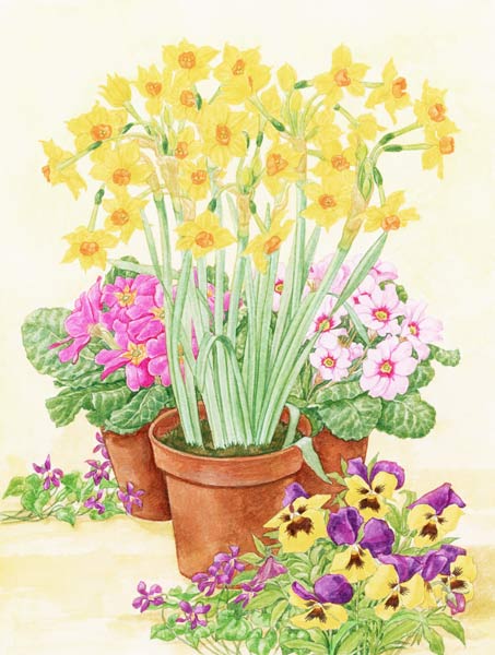 Pots of Spring Flowers, 2003 (w/c on paper)  van Linda  Benton