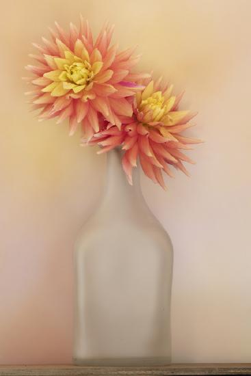 The Dahlia and Vase
