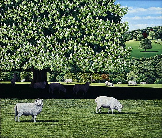 Dorset Parkland, 2007 (oil on canvas)  van Liz  Wright
