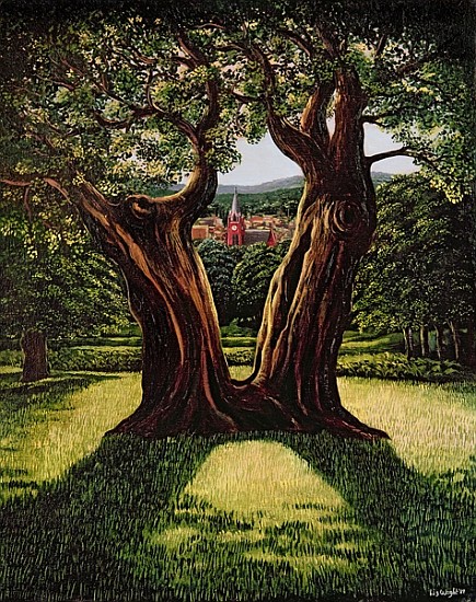 The Divided Tree, Richmond Park, 1989  van Liz  Wright