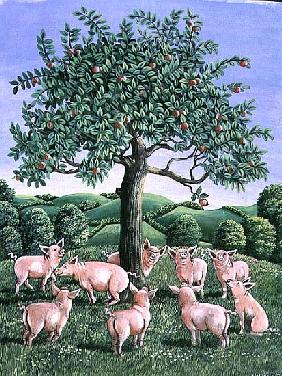 Pigs under the apple tree, 1983 (gouache) 