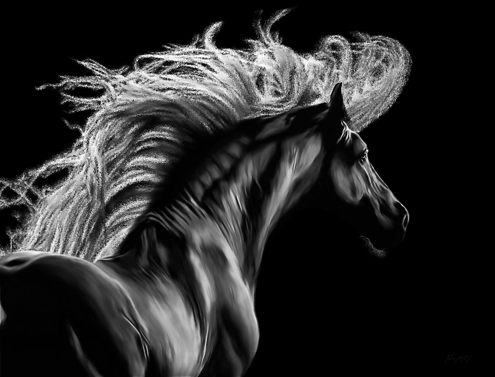 Le Equus van Lord Amihere