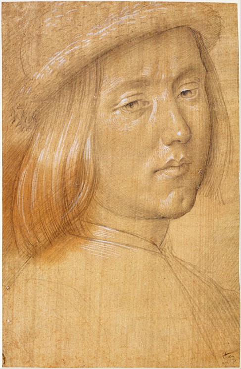 Head of a Youth van Lorenzo di Credi