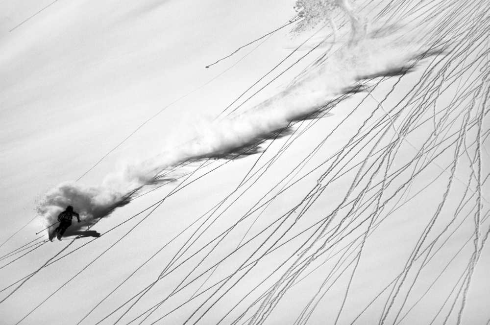 Skiing Powder van Lorenzo Rieg