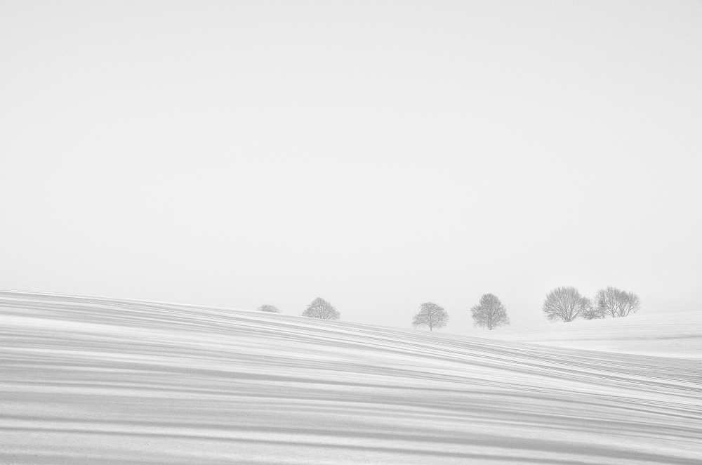 Snowlines van Lou Urlings