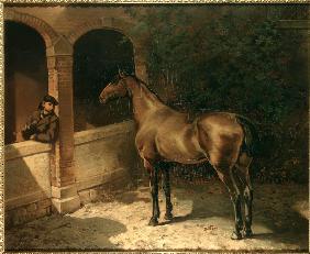 Horse and smoker