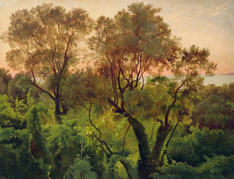 Slope with Olive Trees van Louis Gurlitt