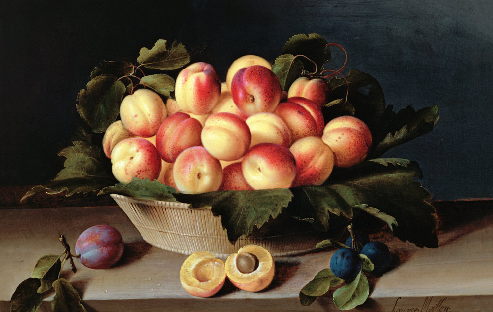 Basket of Apricots van Louise Moillon