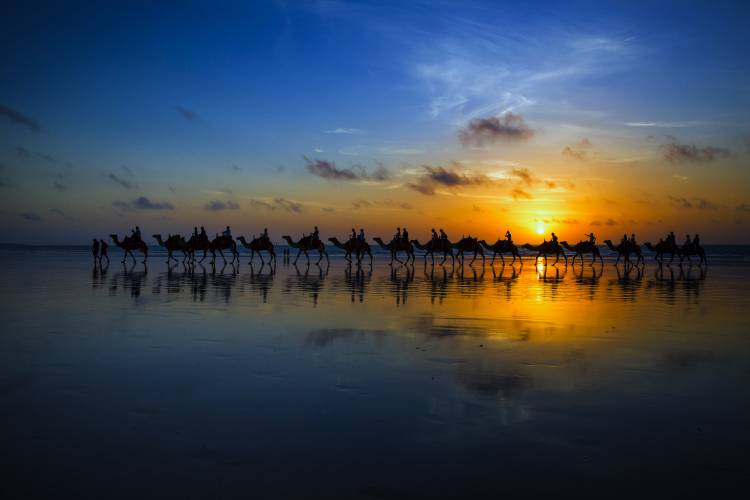 Sunset Camel Ride van Louise Wolbers