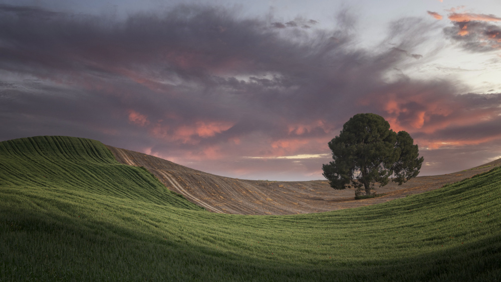 Sunset colors in the fields of Andalusia (Spain) van Lucia Gamez