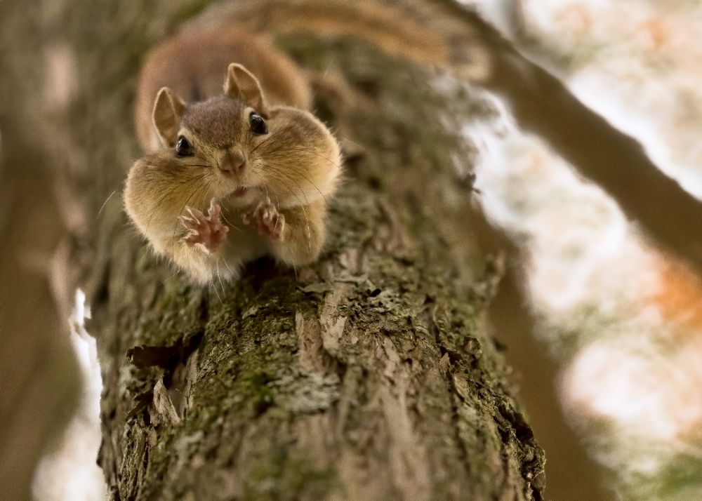 Dont you even try to grab my nuts! van Lucie Gagnon
