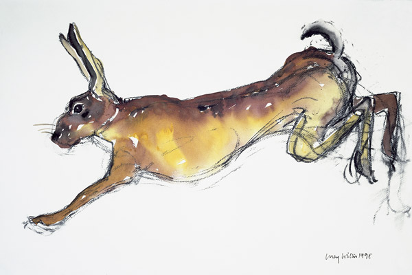 Jumping Hare (w/c & charcoal on paper)  van Lucy Willis