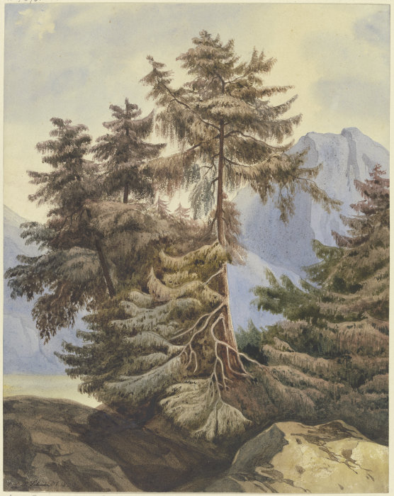 Three fir trees in the mountains van Ludwig Daniel Philipp Schmidt