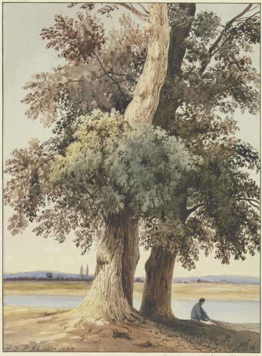 Two trees on the river van Ludwig Daniel Philipp Schmidt