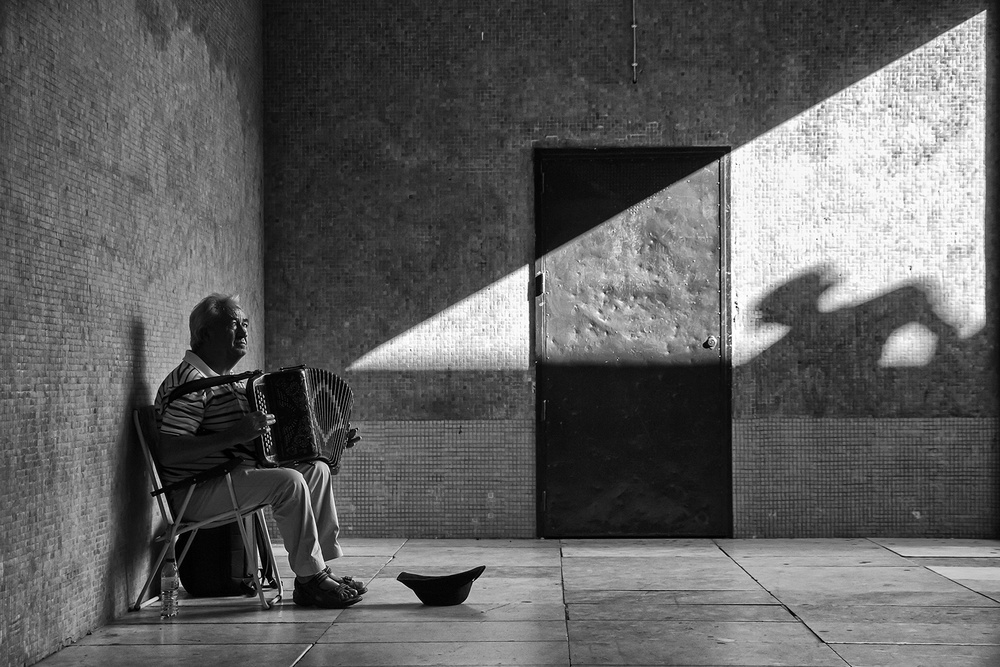 The Shadow van Luis Sarmento