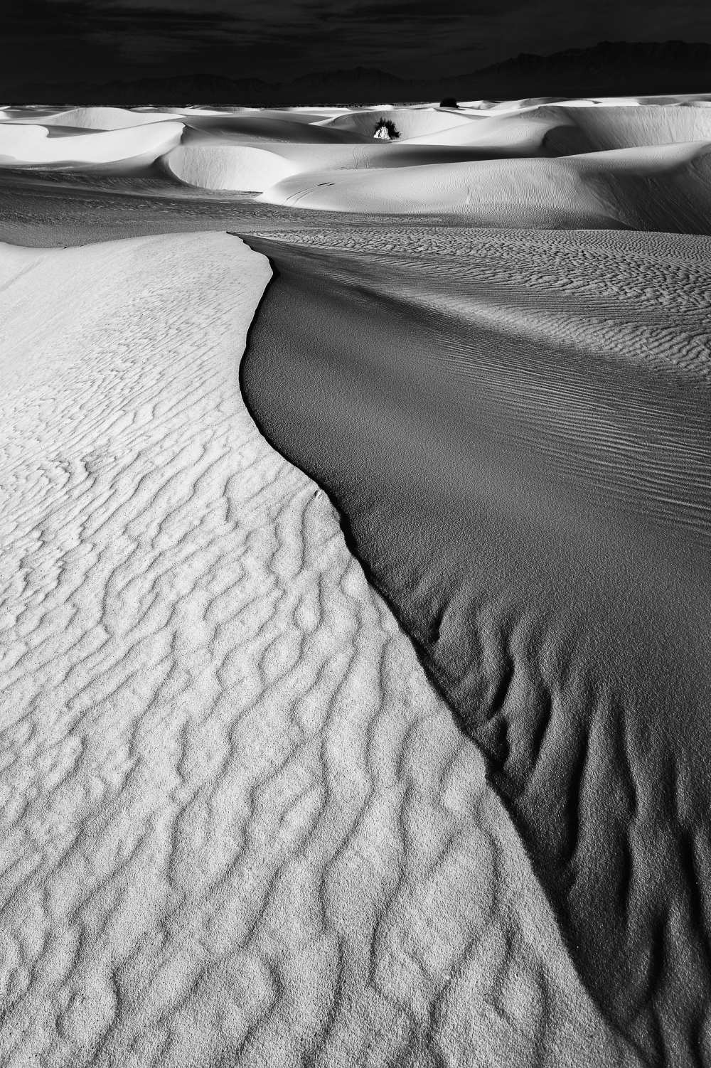 Sand Waves van Lydia Jacobs