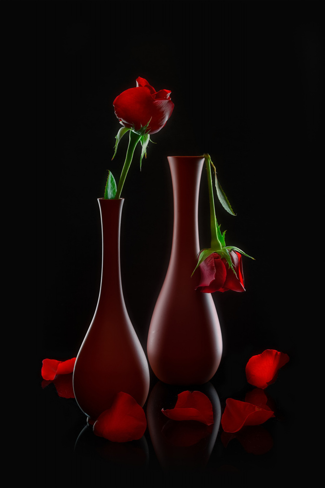 Valentines Roses van Lydia Jacobs