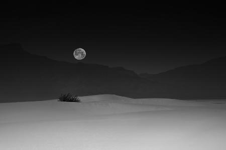 Full Moon over White Sands