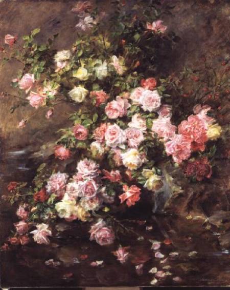 Roses van Madeleine Lemaire