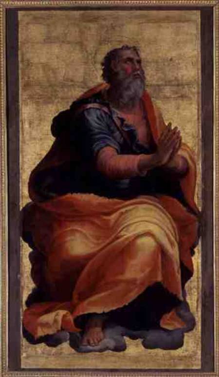 Saint Paul the Apostle van Marco Pino