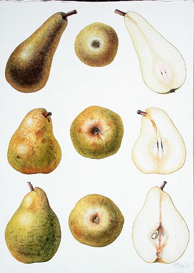 Six Pears, 1994 (w/c on paper)  van Margaret Ann  Eden