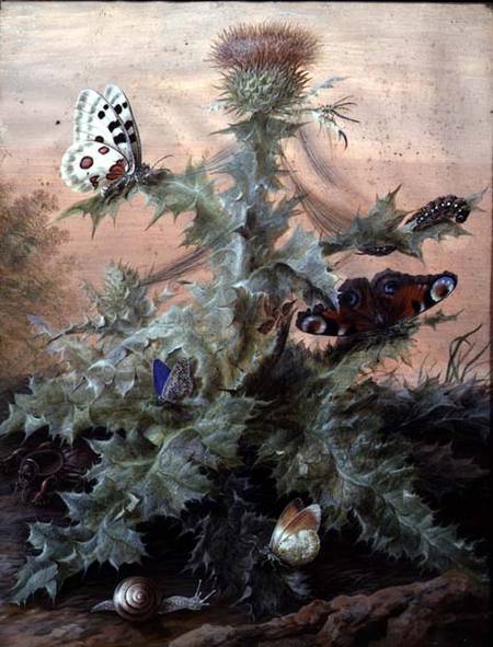 Insects Around a Thistle van Margaretha Barbara Dietzsch