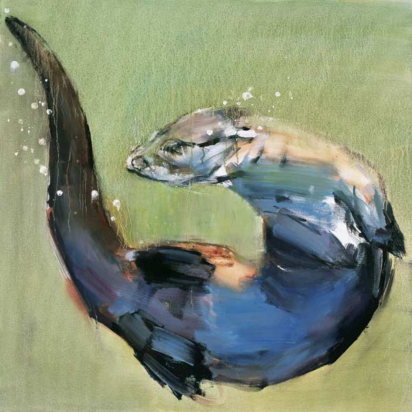 Otter van Mark  Adlington