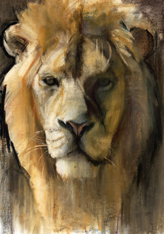 Asiatic Lion van Mark  Adlington