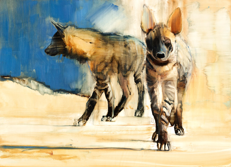 Striped Hyaenas van Mark  Adlington