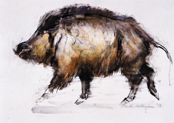 Wild Boar van Mark  Adlington