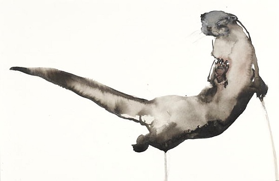 Back Awash (Otter) van Mark  Adlington