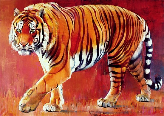 Bengal Tiger van Mark  Adlington