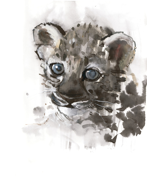 Blue Eyes (Arabian Leopard Cub) van Mark  Adlington
