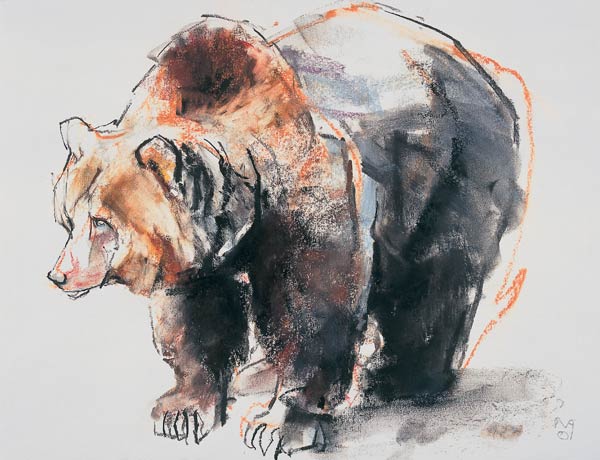 European Brown Bear van Mark  Adlington